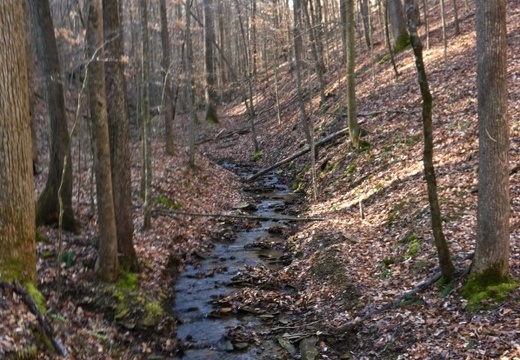 Buck Creek Trail - 2